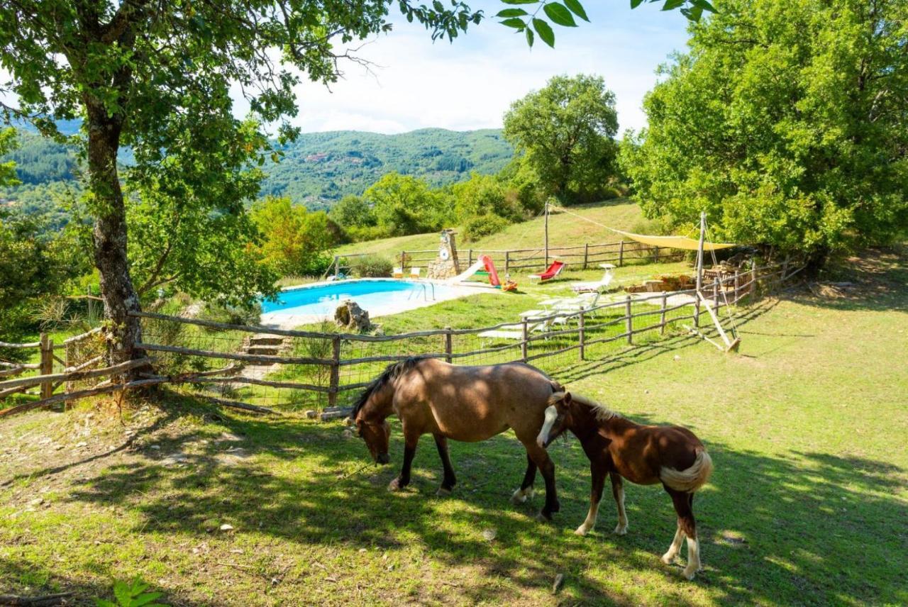 ארצו Villa Bellavista מראה חיצוני תמונה